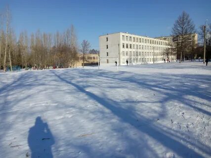 Челябинское образовательное учреждение
