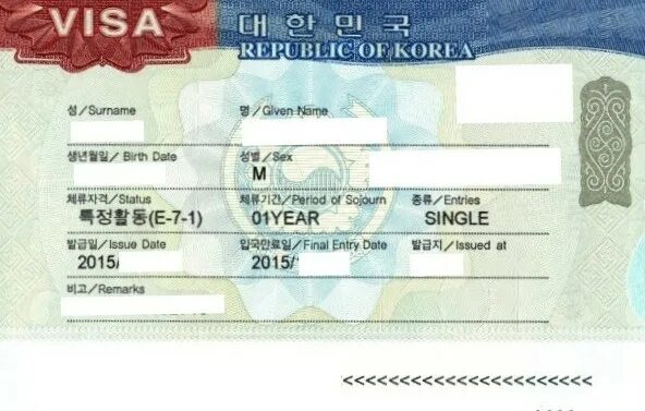7 visa. Виза в Корею. E7 visa Korea. Виза Южная Корея шаблон. Н2 виза Корея.