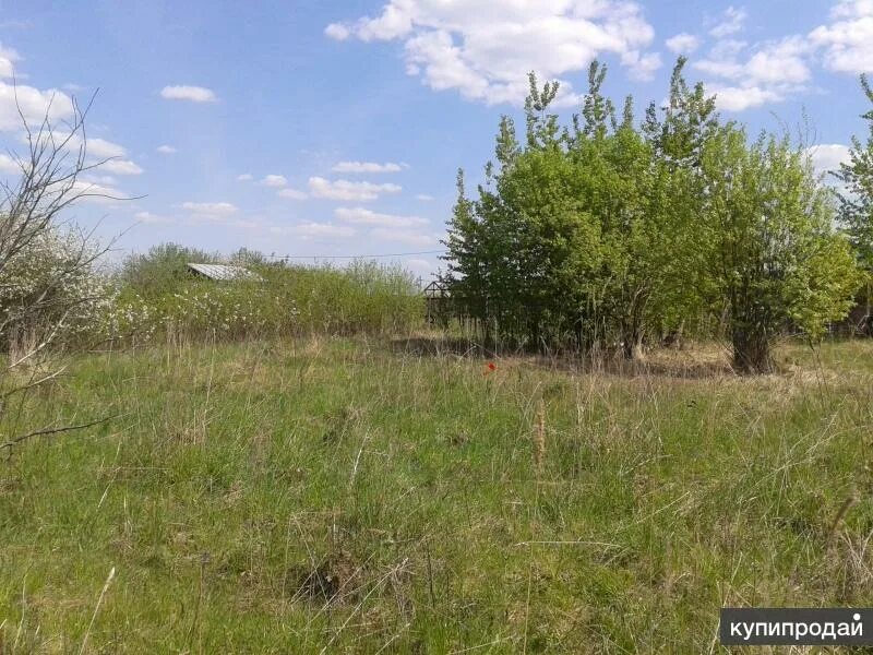 Кашира сорокино. Кашира сорокино. Кашира сорокино. Московская область, г. Кашира сорокино.