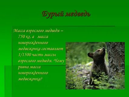 Презентация аю
