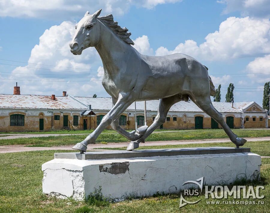 Лимаревский конный завод. Конный завод орловская область. Злынский конезавод музей усадьба телегиных. Болхов злынский конезавод. Болховский конезавод.