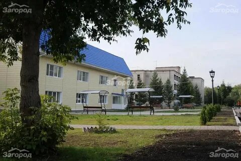 Березки банное
