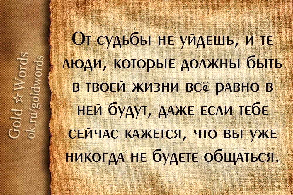 Что было общим в судьбе. Цитаты про судьбу. Цитаты про судьбу и любовь. Высказывания о судьбе. Афоризмы про судьбу.