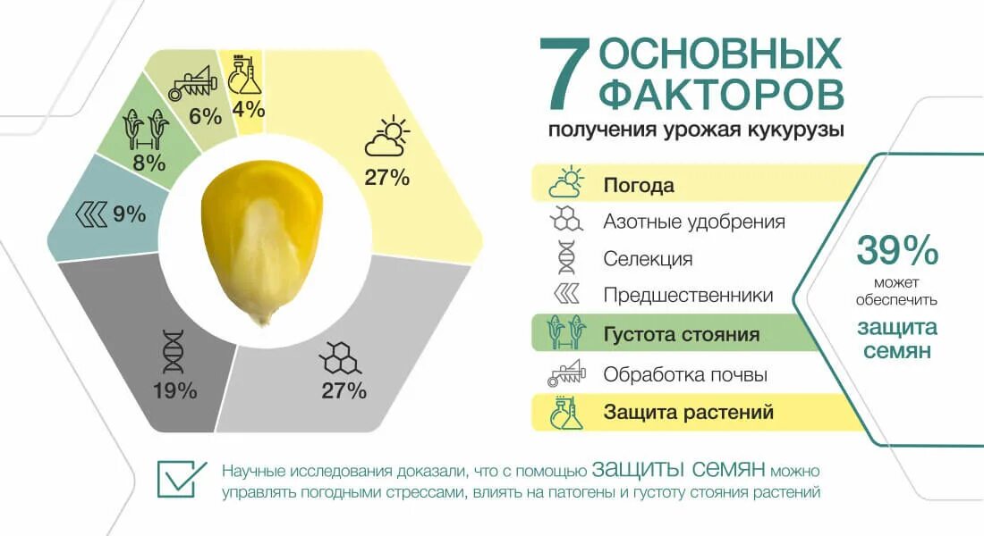 Максимальная урожайность кукурузы. Урожайность кукурузы на силос с 1 га. Урожайность кукурузы на зерно с 1 га. Средняя урожайность кукурузы на зерно с 1 га. Средняя урожайность кукурузы с 1 га в России.