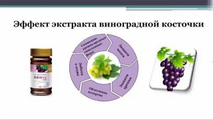 Экстракт виноградных косточек новая Эра. Новая Эра виноградные косточки. Продукция с виноградной косточкой. Виноградная косточка. Экстракт винограда отзывы