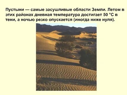 Проект пустыни 4 класс окружающий мир