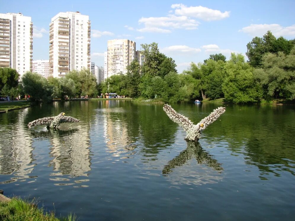 Воронцовский парк. Московский Воронцовский парк. Воронцовский парк ЮЗАО. Ломоносовский район Москва Воронцовский парк.