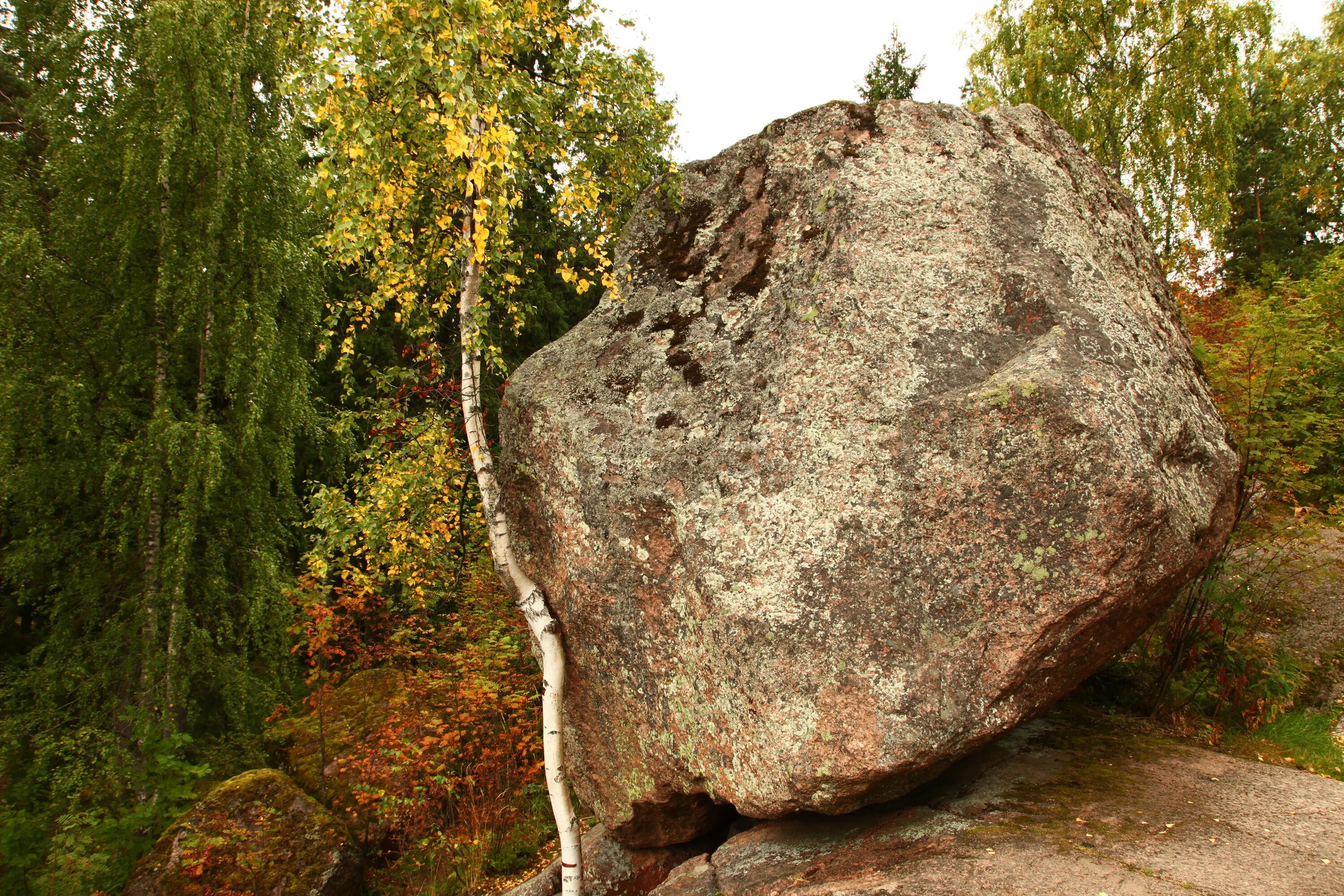 Falling stone. Монрепо падающий камень. Монрепо камни. Мегалиты Монрепо. Монрепо валуны.