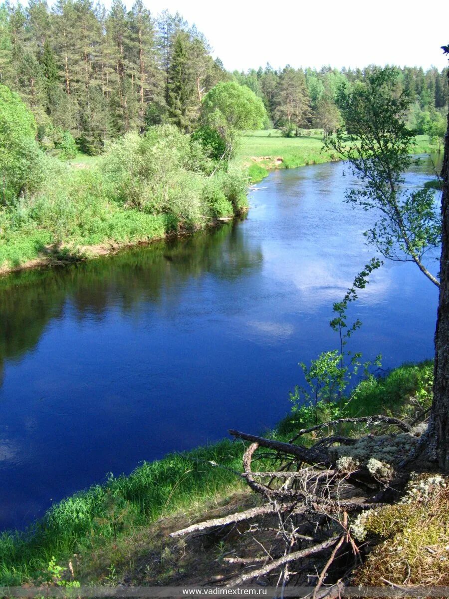 Западная двина река какого океана. Река в белоруссии двина. Западная двина река какого океана. Река западная двина на карте россии исток и устье. Река западная двина на карте россии исток и устье реки.