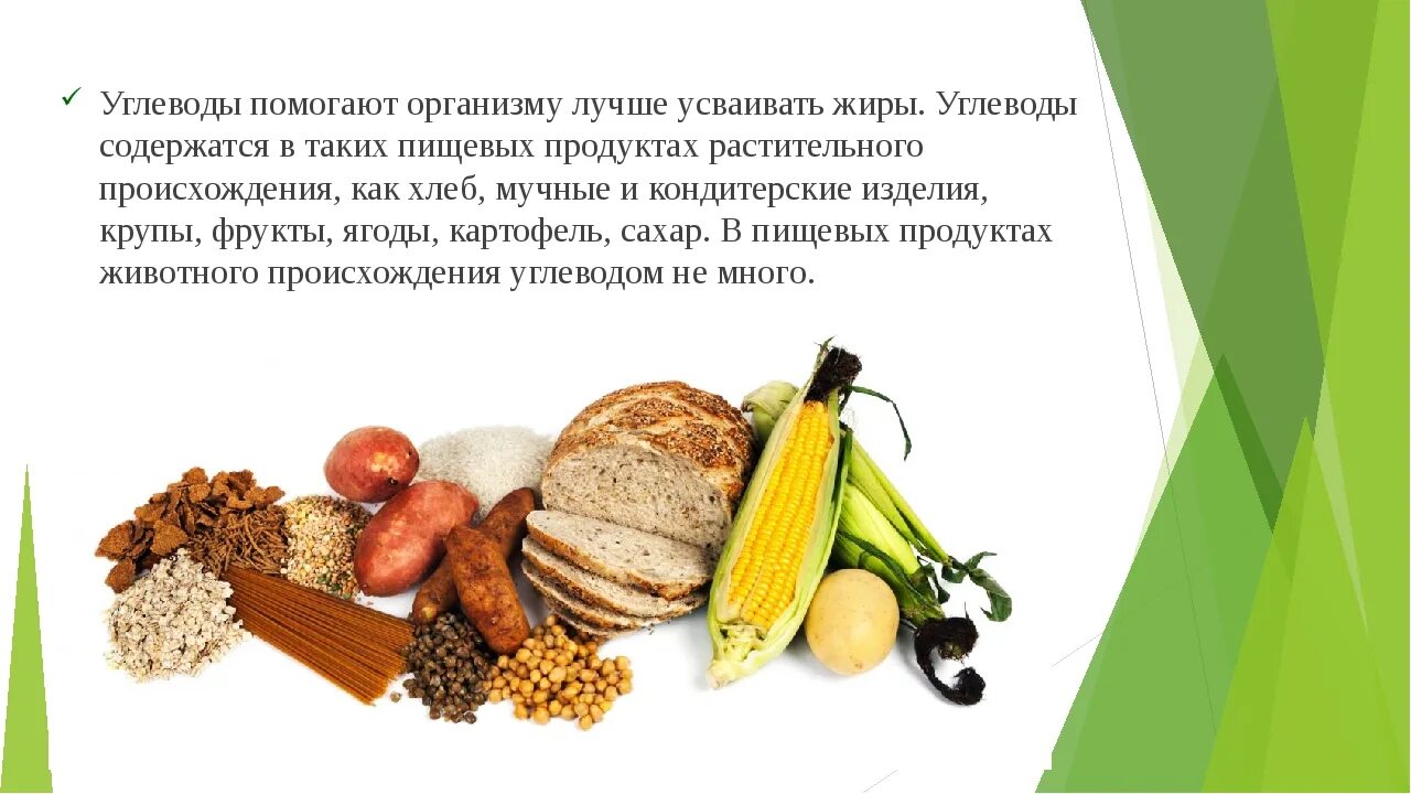 Хлеб растительного происхождения. Углеводы продукты. Источники углеводов в продуктах. Углеводы в питании. Продукты богатые растительными жирами.