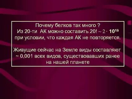 Почему белок получил такое название