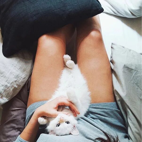 Девушка с котом на руках и голой киской между ног фото