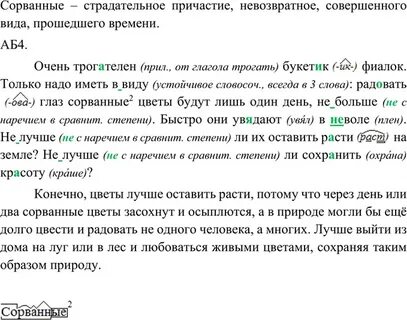 Русский язык 8 упр 193
