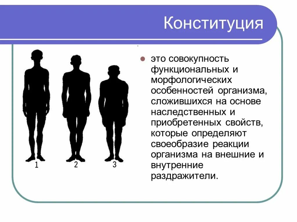 Конституция человека значение. Конституция тела человека. особенности конституции человека. основные типы конституции человека. биологическая конституция человека.
