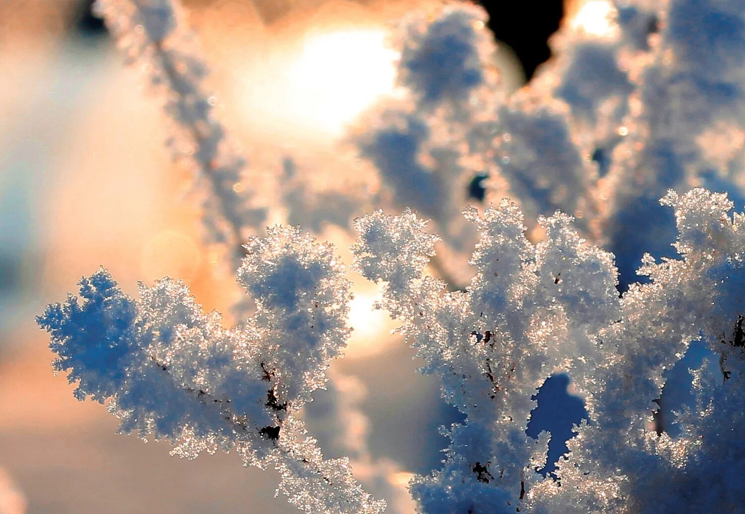 Зимний воздух. Зима мороз. Морозный зимний день. Зимой воздух морозный. Морозный день.