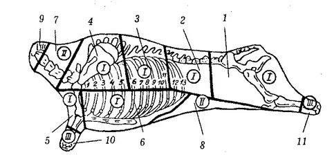 үлкен сиқырлы аталар