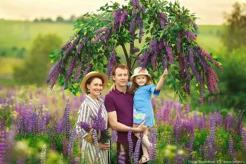 Семейная фотосессия в люпинах