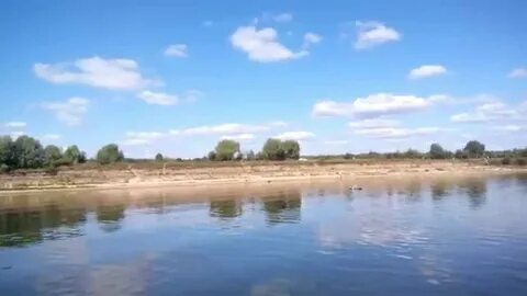 На сколько поднялась река ока в муроме