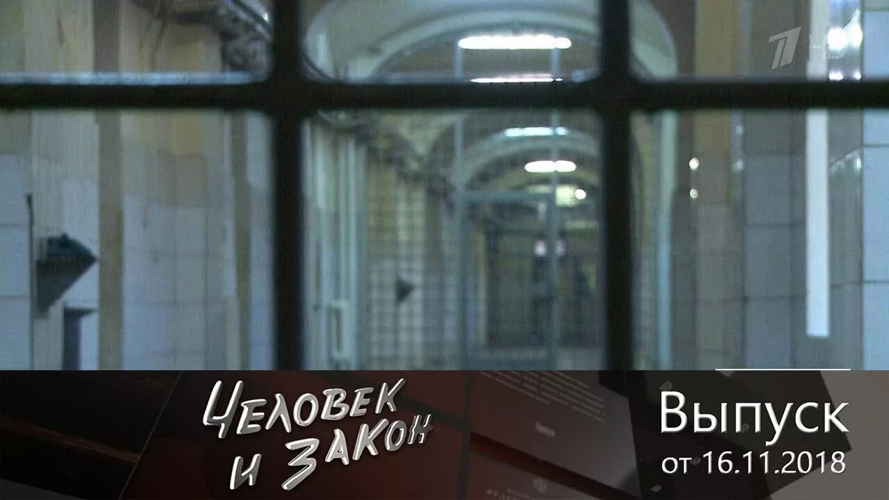 человек и закон 16. передача человек и закон. передача криминальная хроника. сизо. человек и закон последний выпуск 2023.