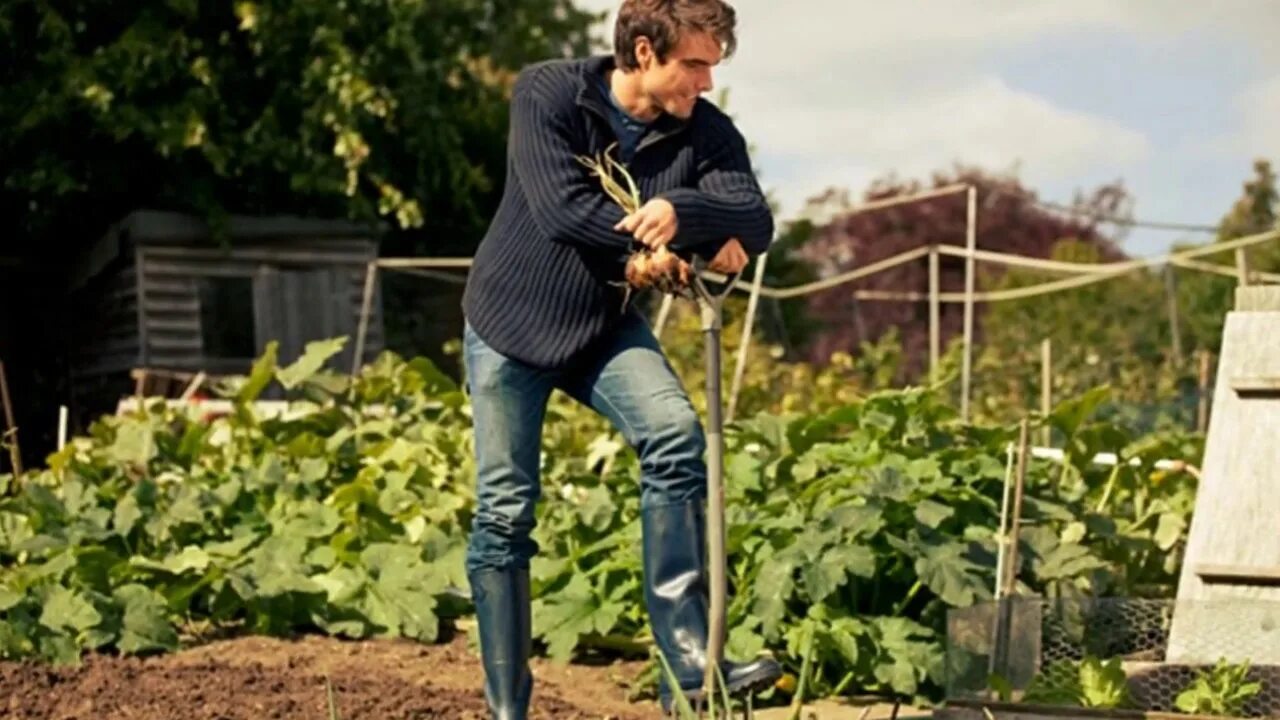 труд на даче. дачник с урожаем. парень с лопатой. пенсионеры на огороде. работа в огороде.