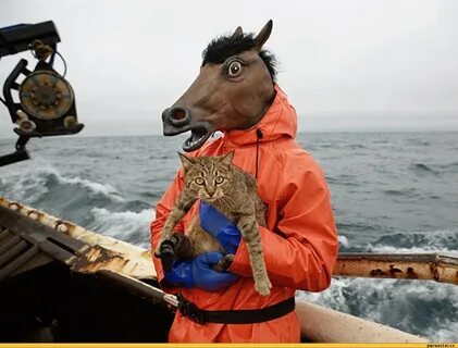 Horse fishing