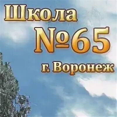 Лицей 65 воронеж