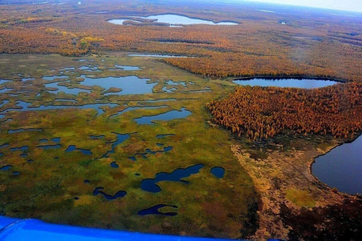 Топи западной сибири