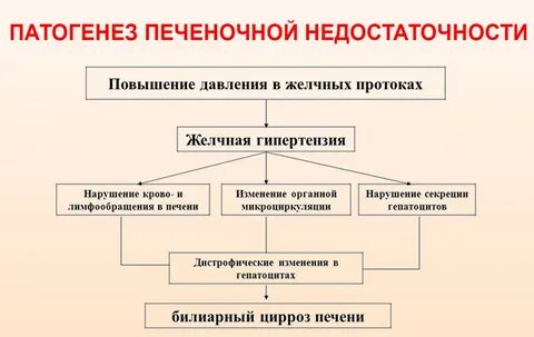 Этиология печени