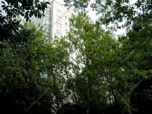 Улица коненкова москва. Ул коненкова д 23 в. Улица коненкова москва. Ул коненкова смоленск 2 12 газпромбанк. Смоленск ул коненкова 4.