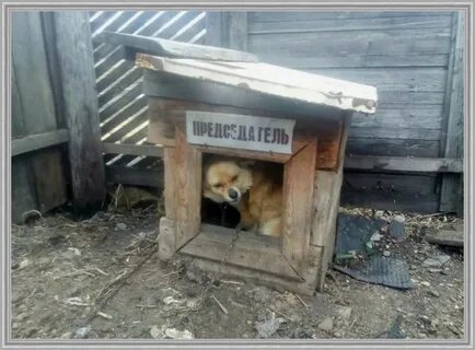 Прикол село
