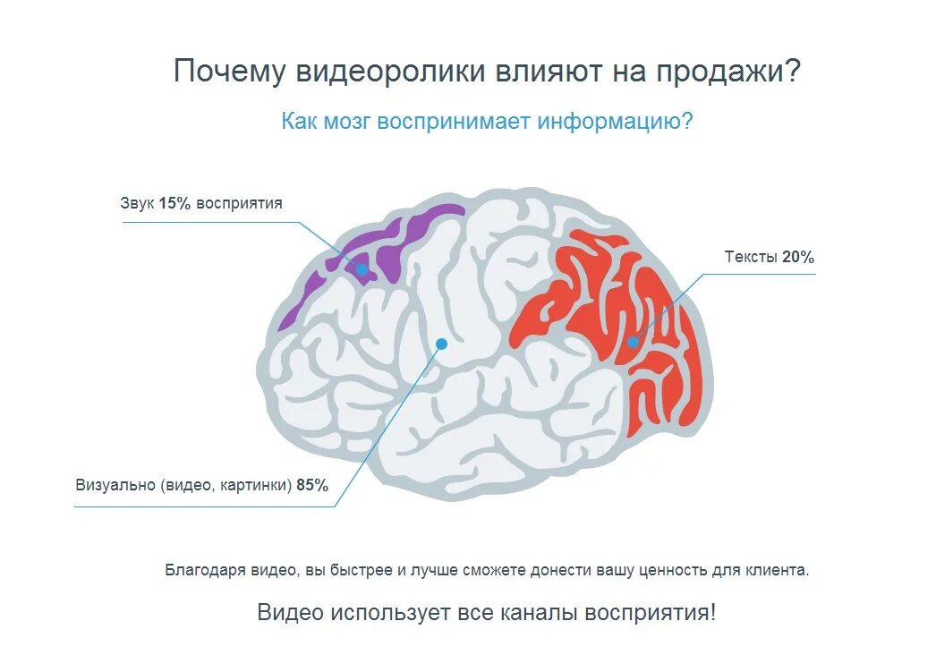 Почему мозг хуже. Восприятие информации мозгом. Мозг и информация. Мозг не воспринимает информацию. Как мозг воспринимает информацию.