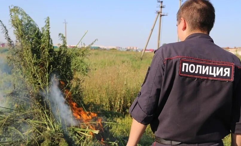 Оперативно профилактической операции мак. Операция мак. операция мак фото.