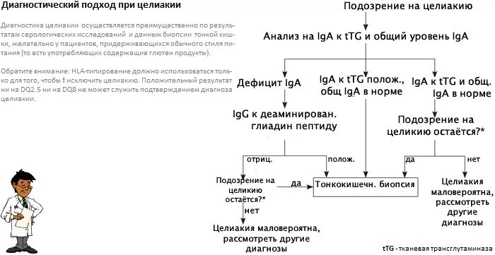 Целиакия диагностика у взрослых. Патогенез целиакии. антитела при целиакии анализ. алгоритм диагностики целиакии. целиакия план обследования.