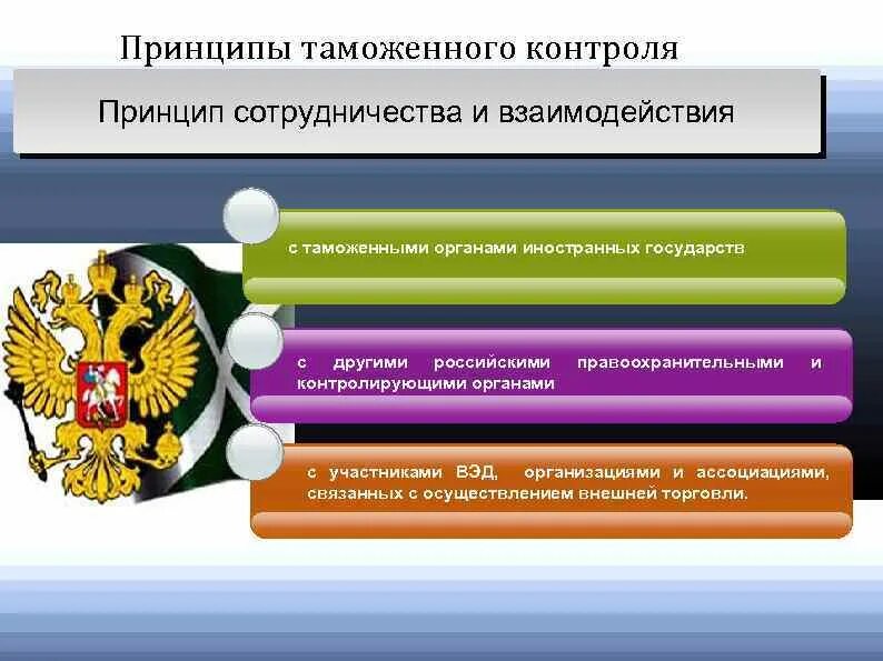 Контроль в таможенной деятельности