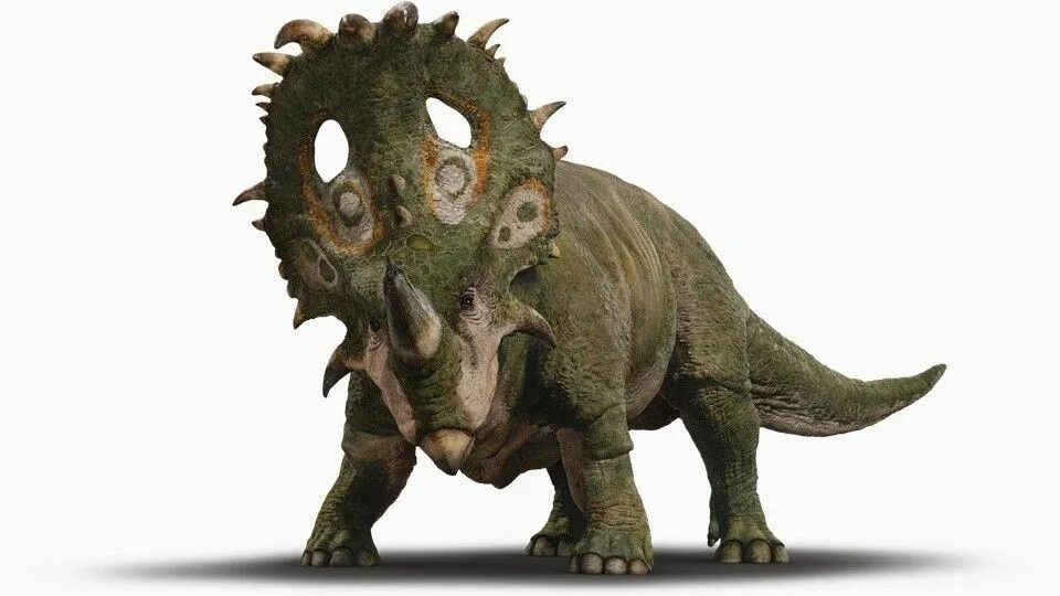 Мир трицератопсов. Трицератопс jurassic world. мир юрского периода 2 трицератопс. трицератопс мир юрского периода 3. синоцератопс динозавр.