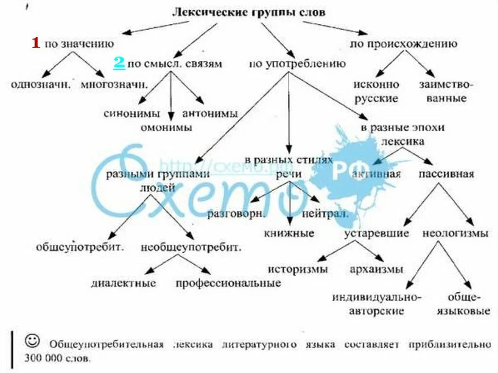 Система лексических значений слова. Типы слов в лексике. Виды русской лексики. Типы лексики современного русского языка. Лексическая система русского языка.