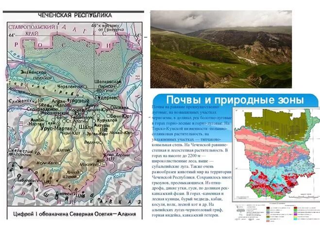 Кавказ расположен в природных зонах. Почвы Чечни карта. Природно ландшафтные зоны Чеченской Республики. Карта природных зон Чечни. Карта почв Чеченской Республики.