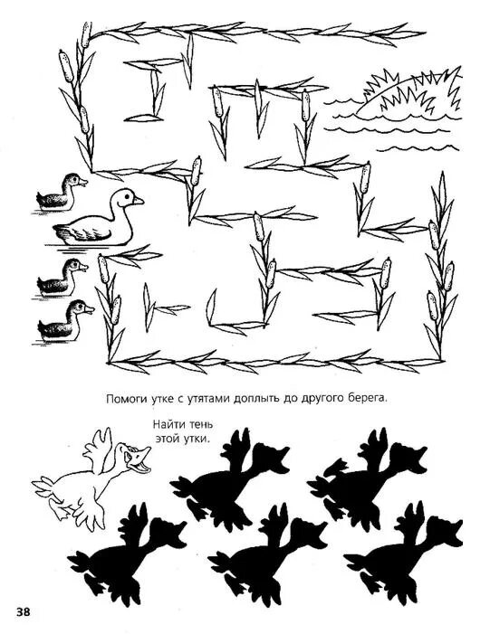 лексическая тема домашние птицы. утка задания для детей. домашние птицы задания для дошкольников. задание для малышей уточка. задание утка.