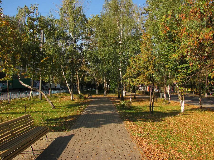 Сады города королев. Осень в г королев. город королёв осень. королев город. природа в городе королеве.