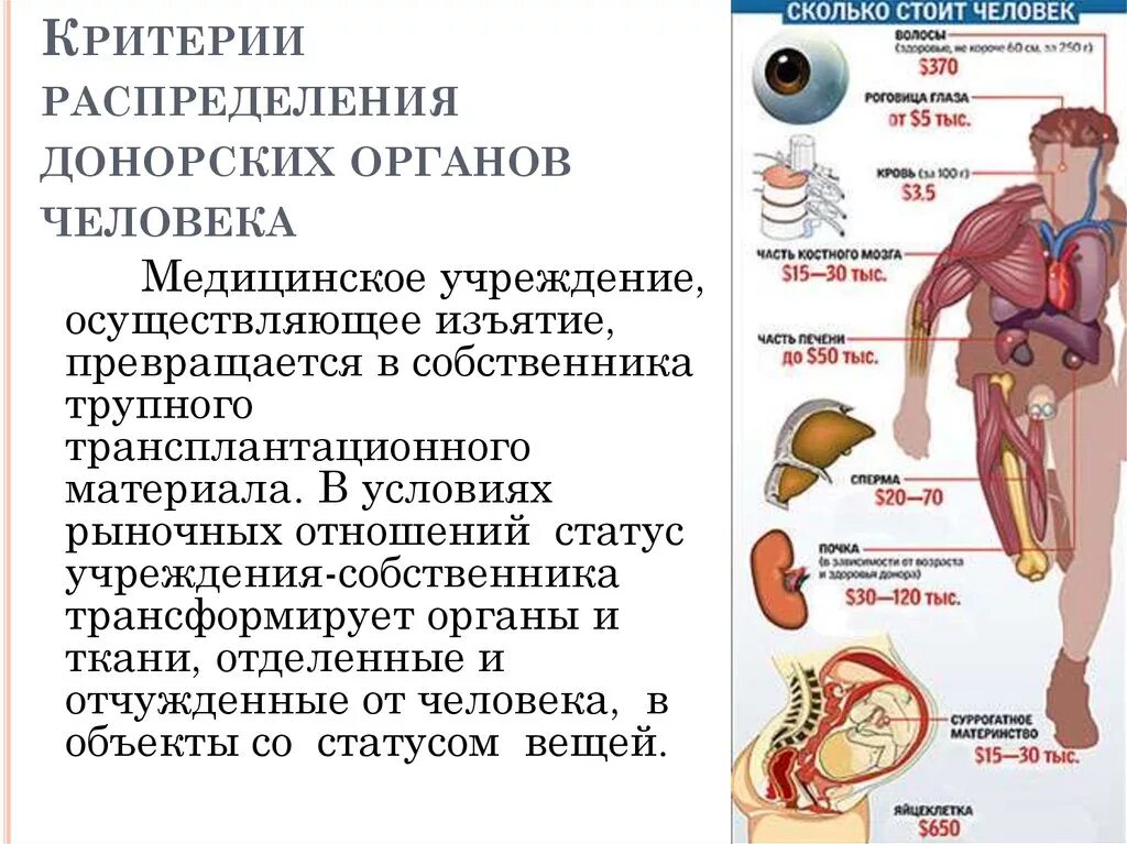 Продажа органов человека. Стоимость человеческих органов. Стоимость органов человека. Сколько стоит человек. Колько стоят органы человека.