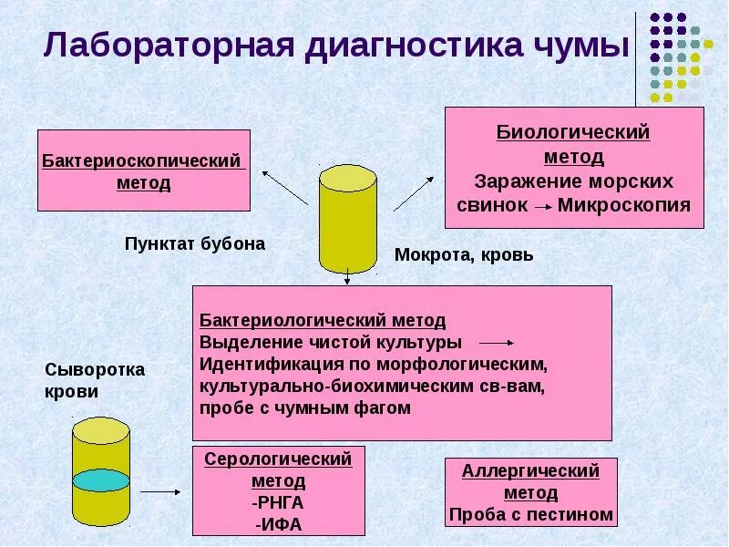 Чума анализы