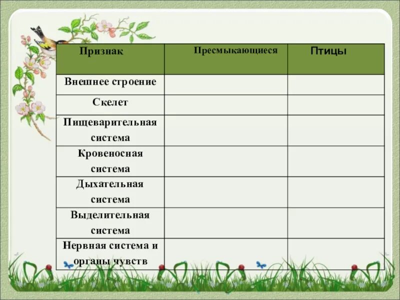 Признаки рептилий и птиц. Признаки пресмыкающихся. Существенные признаки пресмыкающихся. Характерные признаки пресмыкающихся 7 класс. Главные признаки пресмыкающихся 2 класс.