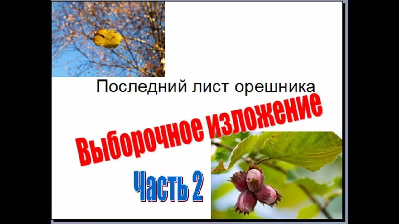 Лист орешника изложение 5. Последний лист орешников. последний лист орешника. изложение последний лист орешника. лист орешника изложение.