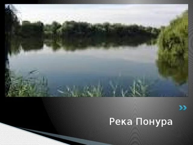 Река понура. Река Понура Новотитаровская. Река Понура Нововеличковская. Река Понура в Краснодарском крае. Река Понура в Краснодарском крае на карте.