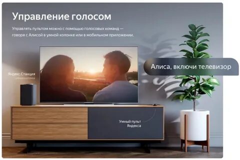 Телевизор с алисой стоит покупать