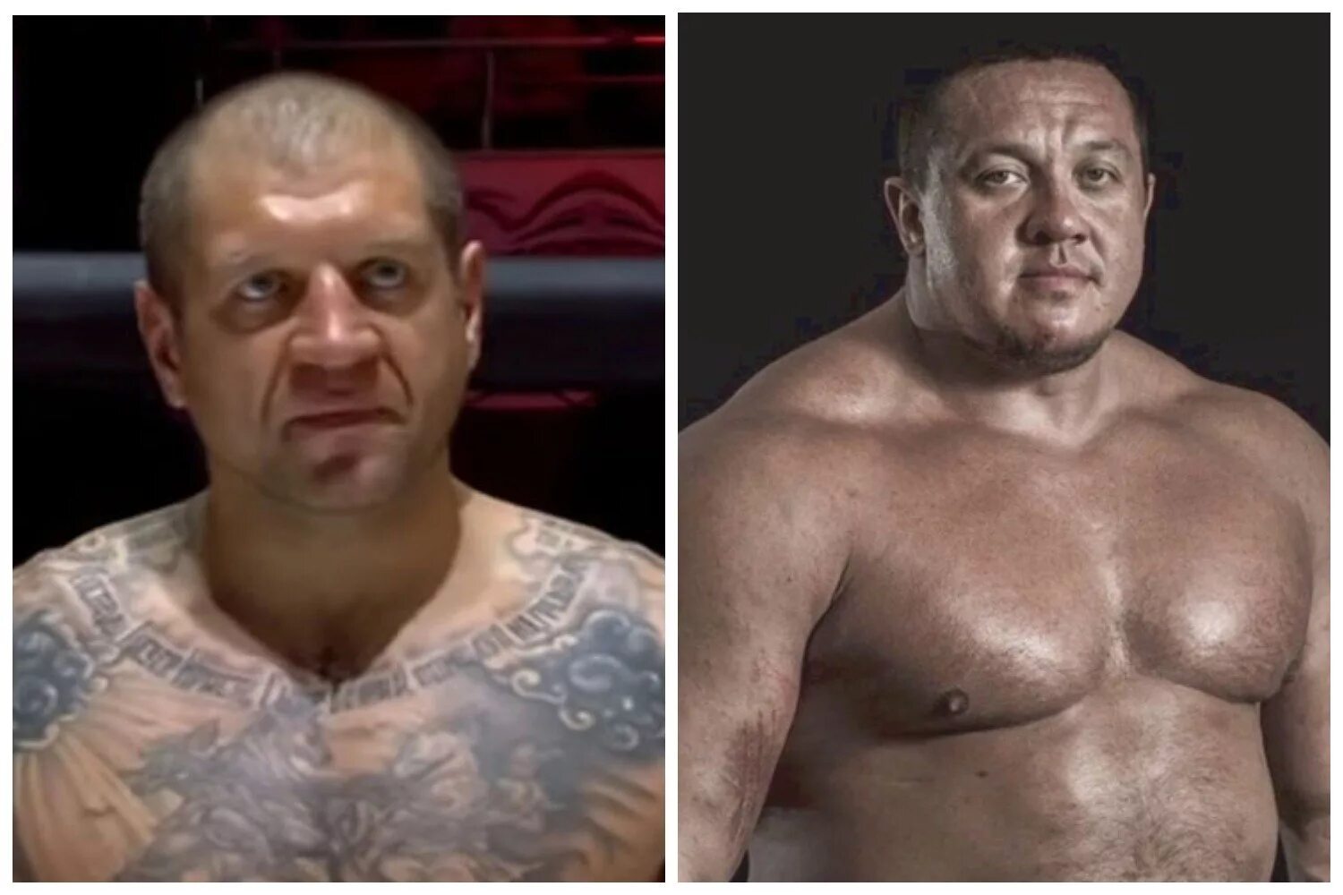 Емельяненко грудка. Емельяненко грудка