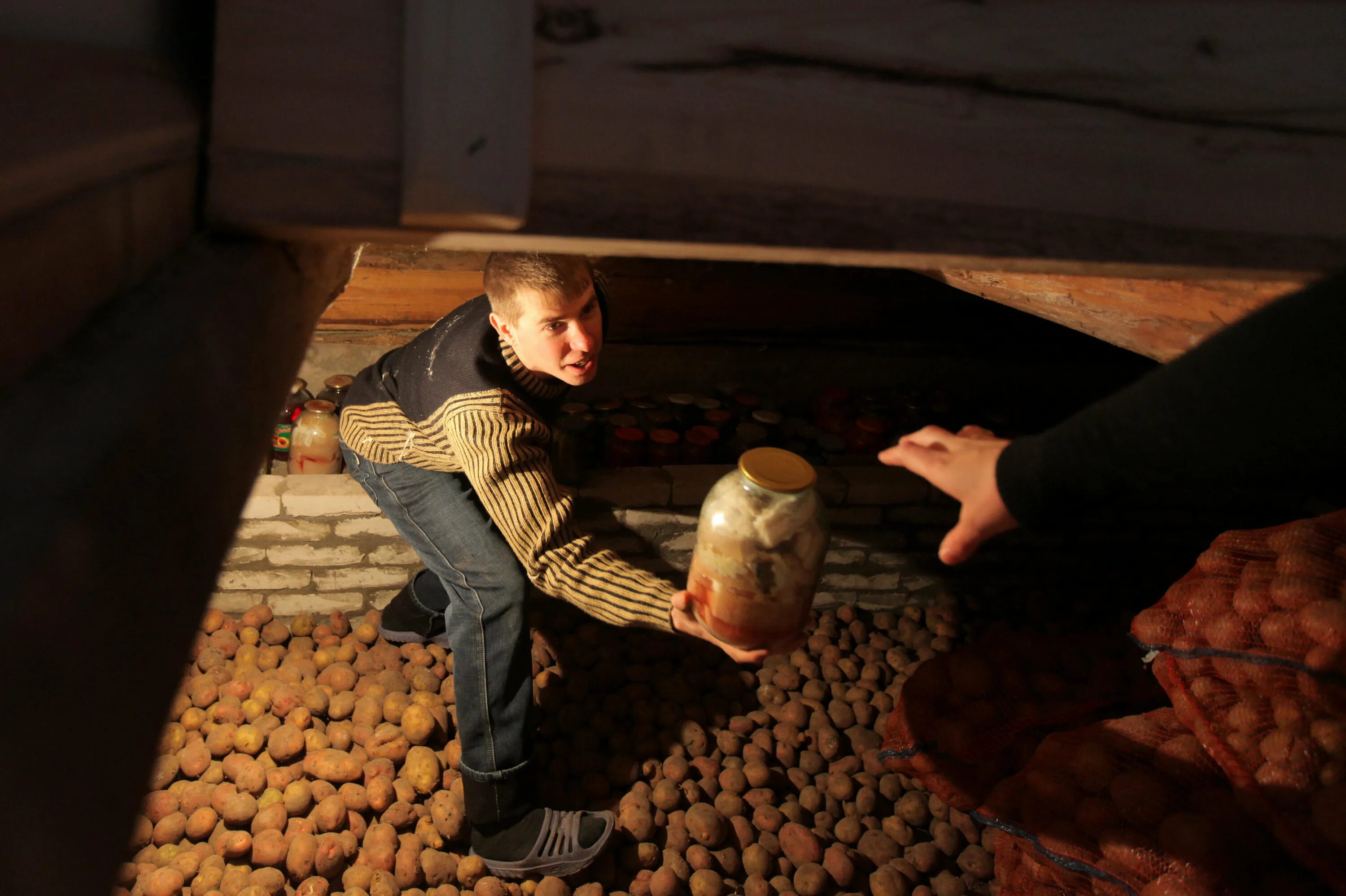 Картофель в темноте. Картошка в погребе. Подвал с картошкой. Картошка в подполе. Деревенский погреб.