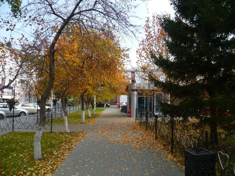 Центральный парк г. Осенняя тюмень экопарк. Тюмень в октябре. Тюмень октябрь. Золотая осень тюмень.