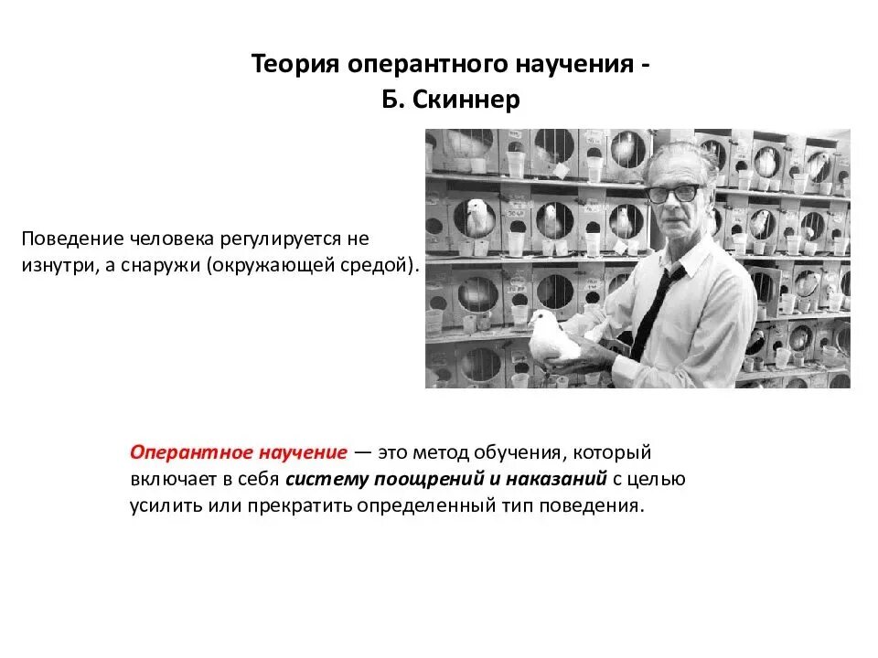 Научение поведению это. Скиннер теория оперантного научения. Теория оперантного обусловливания Скиннера. Оперантное научение б. Скиннера. Оперантное поведение Скиннер.