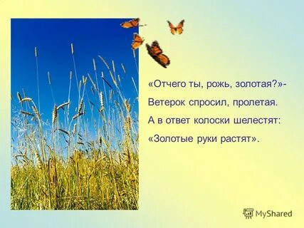 Ветерок спросил пролетая отчего ты рожь